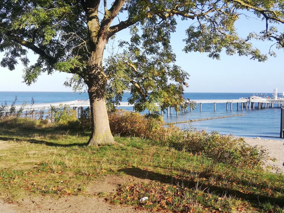Ostseetraum Козеров Экстерьер фото